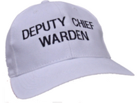Deputy_Chief-500x500_5255ff05-10ba-40ca-acbb-6116c421fa2b.png